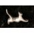 Kitty Stretch sm.jpg